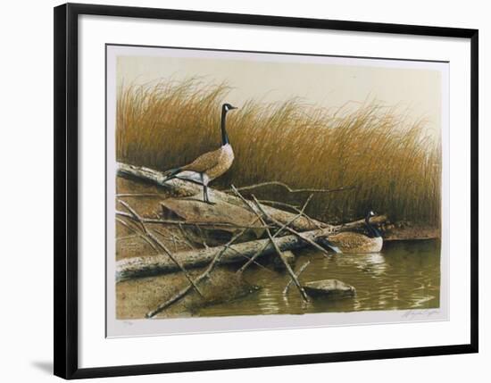 Willow Slew-Wayne Cooper-Framed Limited Edition