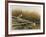 Willow Slew-Wayne Cooper-Framed Limited Edition