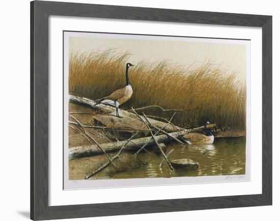 Willow Slew-Wayne Cooper-Framed Limited Edition