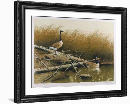 Willow Slew-Wayne Cooper-Framed Limited Edition