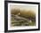 Willow Slew-Wayne Cooper-Framed Limited Edition