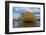 Willow Tree, Lake Tuakitoto, Near Benhar, South Otago, South Island, New Zealand-David Wall-Framed Photographic Print