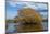 Willow Tree, Lake Tuakitoto, Near Benhar, South Otago, South Island, New Zealand-David Wall-Mounted Photographic Print