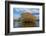 Willow Tree, Lake Tuakitoto, Near Benhar, South Otago, South Island, New Zealand-David Wall-Framed Photographic Print