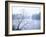 Willow Tree Rising Against Misty Cheat River Just Before Dawn-John Dominis-Framed Photographic Print