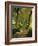 Willow Trees by Forest Stream, New Forest, Hampshire, England, UK, Europe-Dominic Webster-Framed Photographic Print