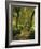 Willow Trees by Forest Stream, New Forest, Hampshire, England, UK, Europe-Dominic Webster-Framed Photographic Print