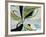 Willow-Sydney Edmunds-Framed Giclee Print