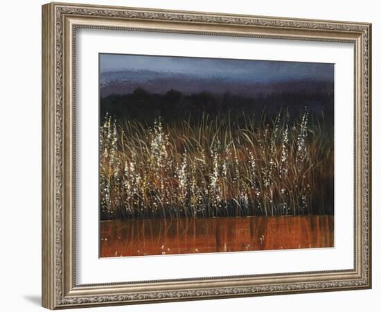 Willows Edge-Tim O'toole-Framed Giclee Print