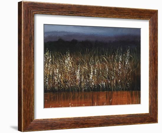 Willows Edge-Tim O'toole-Framed Giclee Print