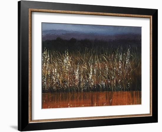 Willows Edge-Tim O'toole-Framed Giclee Print