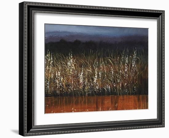 Willows Edge-Tim O'toole-Framed Giclee Print