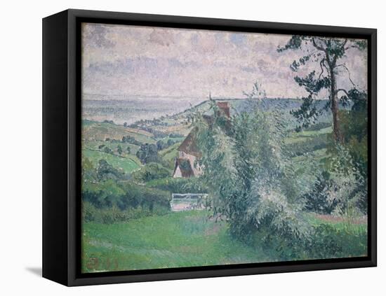 Willows, Fishpond, Dorset, 1915 (Oil on Panel)-Lucien Pissarro-Framed Premier Image Canvas