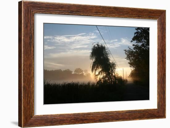 Willows Morning Road-Robert Goldwitz-Framed Photographic Print