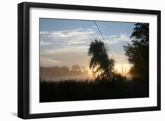 Willows Morning Road-Robert Goldwitz-Framed Photographic Print