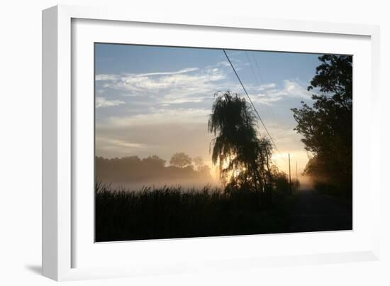 Willows Morning Road-Robert Goldwitz-Framed Photographic Print