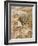 Willows, Rat and Beer-Arthur Rackham-Framed Art Print