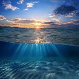 Design Template with Underwater Part and Sunset Skylight Splitted by Waterline-Willyam Bradberry-Photographic Print