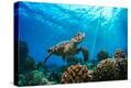 Stretched Canvas Print