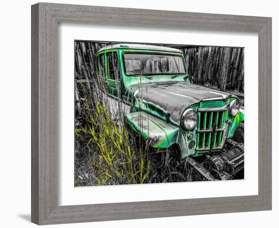 Willys Green-Heidi Bannon-Framed Photo