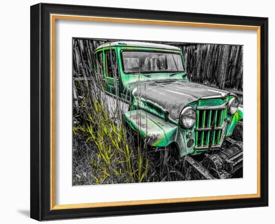 Willys Green-Heidi Bannon-Framed Photo