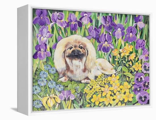 Wilma-Hilary Jones-Framed Premier Image Canvas