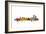 Wilmington Delaware Skyline-Michael Tompsett-Framed Art Print