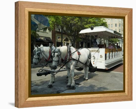 Wilmington, North Carolina, USA-Ethel Davies-Framed Premier Image Canvas