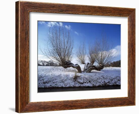Wilnter Willow Tree by River at Meerbusch, Buderich - Germany-Florian Monheim-Framed Photographic Print