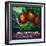 Wilshire's Oak Glen Apple Crate Label - Yucaipa, CA-Lantern Press-Framed Art Print