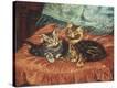 Stretched Canvas Print