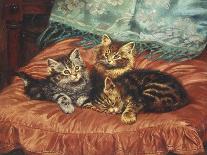 Kittens and Flowers, c.1903-Wilson Hepple-Framed Giclee Print