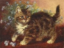 The Artists Kittens-Wilson Hepple-Giclee Print