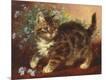 Giclee Print