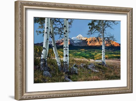 Wilson Peak Aspens I-Larry Malvin-Framed Photographic Print