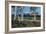 Wilson Peak Aspens I-Larry Malvin-Framed Photographic Print