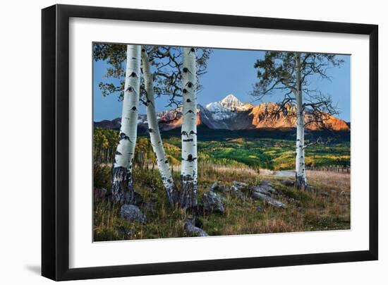 Wilson Peak Aspens I-Larry Malvin-Framed Photographic Print