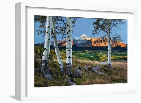 Wilson Peak Aspens I-Larry Malvin-Framed Photographic Print