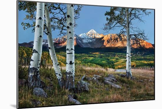 Wilson Peak Aspens I-Larry Malvin-Mounted Photographic Print