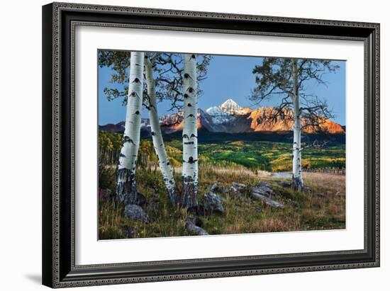 Wilson Peak Aspens I-Larry Malvin-Framed Photographic Print