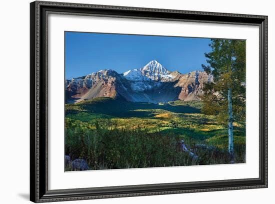 Wilson Peak Aspens II-Larry Malvin-Framed Photographic Print