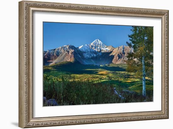 Wilson Peak Aspens II-Larry Malvin-Framed Photographic Print