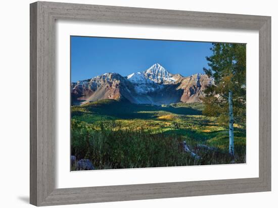 Wilson Peak Aspens II-Larry Malvin-Framed Photographic Print