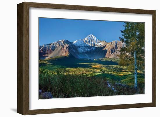 Wilson Peak Aspens II-Larry Malvin-Framed Photographic Print