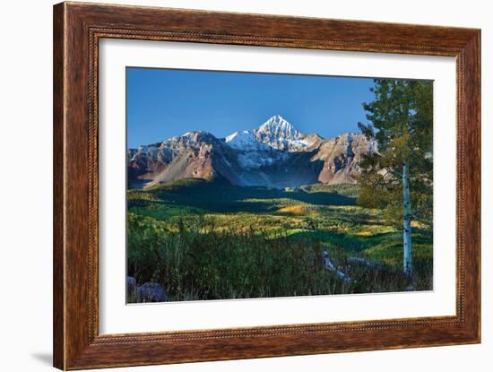 Wilson Peak Aspens II-Larry Malvin-Framed Photographic Print