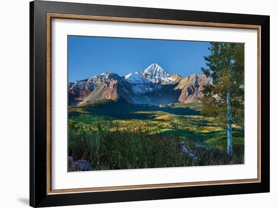 Wilson Peak Aspens II-Larry Malvin-Framed Photographic Print