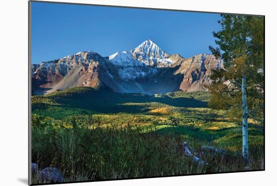 Wilson Peak Aspens II-Larry Malvin-Mounted Photographic Print