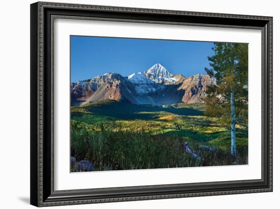 Wilson Peak Aspens II-Larry Malvin-Framed Photographic Print