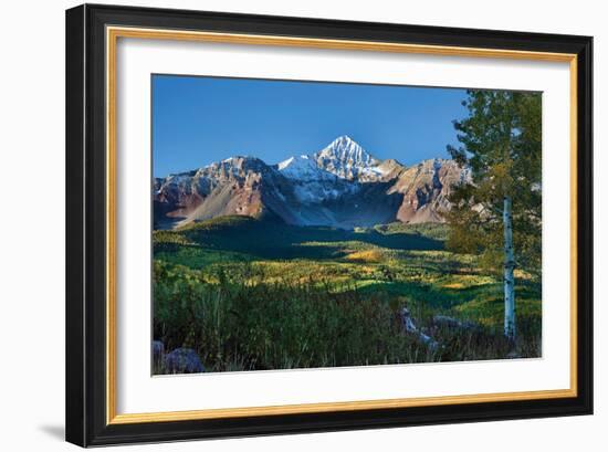 Wilson Peak Aspens II-Larry Malvin-Framed Photographic Print