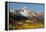 Wilson Peak on an Autumn Morning, San Juan Mountains, Colorado, USA-Jaynes Gallery-Framed Premier Image Canvas